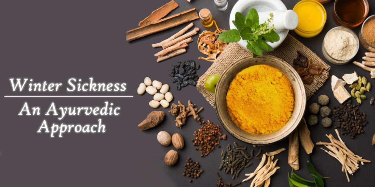 Winter Wellness with 5 Medicinal Herbs