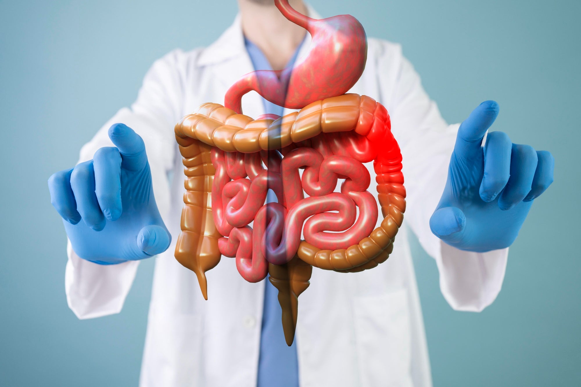 8 Secrets About Your Digestive Health Nobody Tells You By Hindrishii Ayurveda