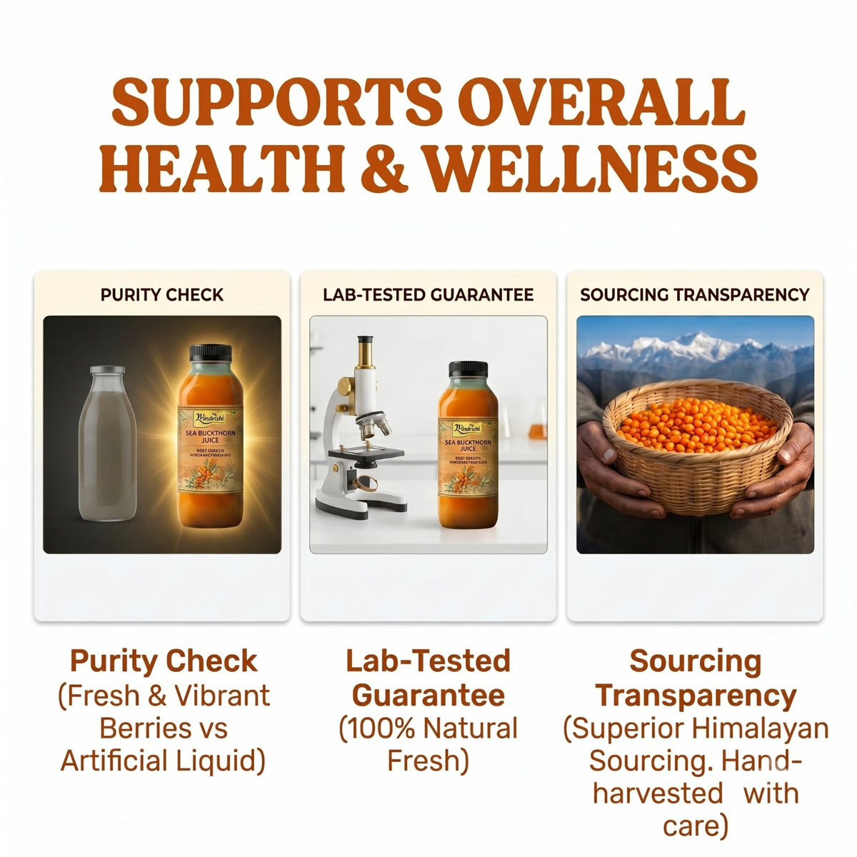 Hindrishi Sea Buckthorn Juice