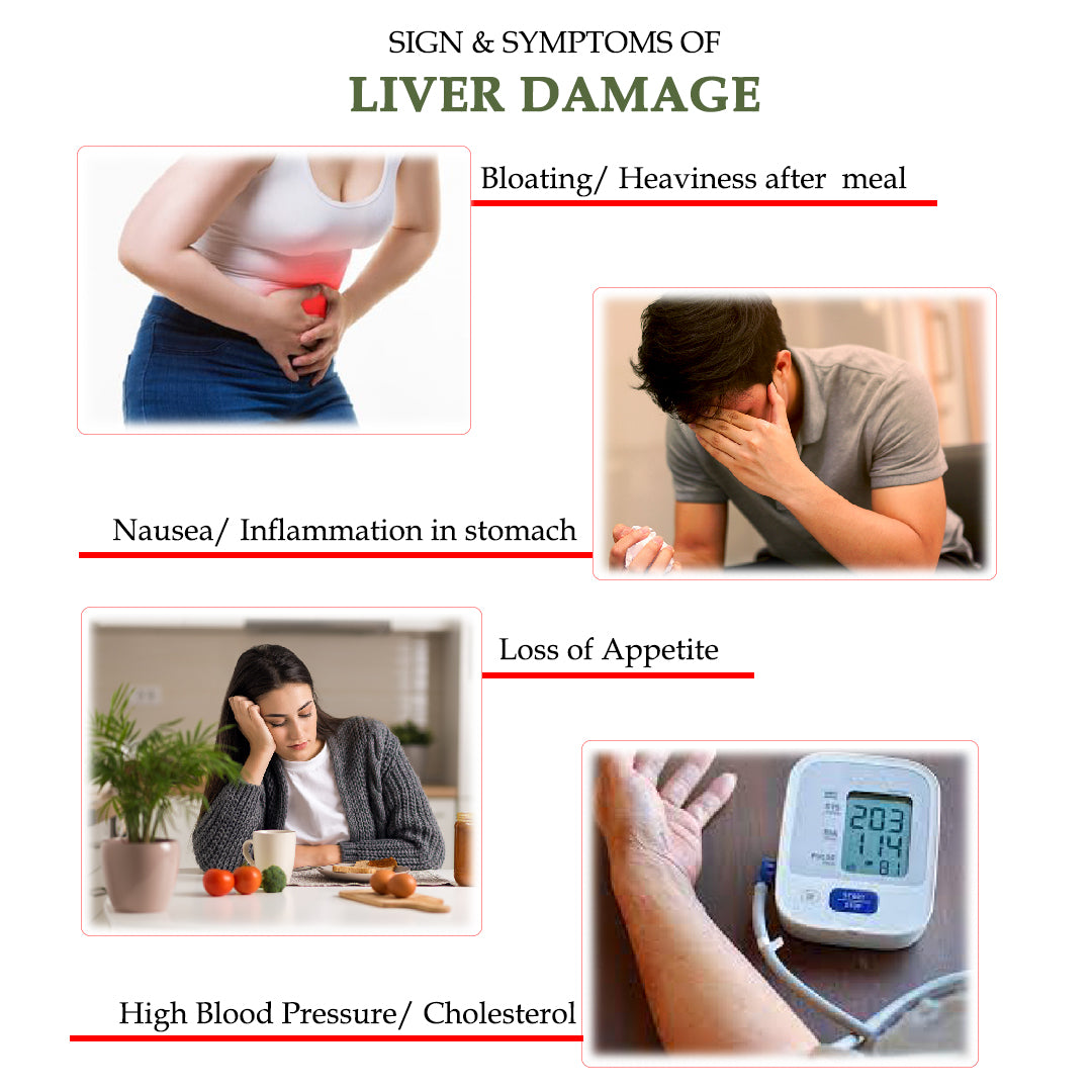 Hindrishi Wellness Combo