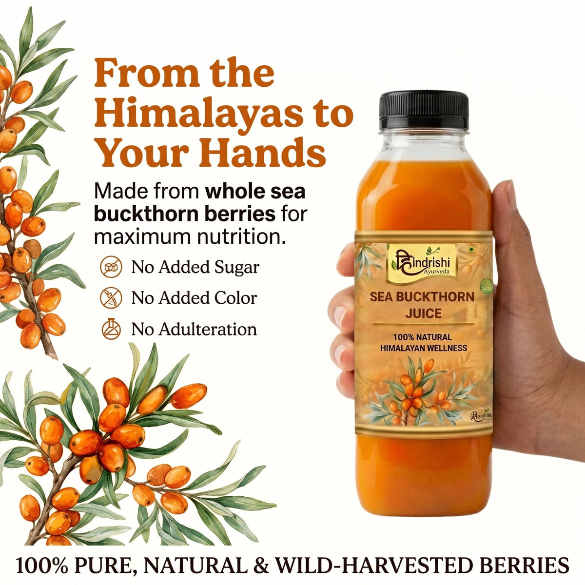 Hindrishi Sea Buckthorn Juice